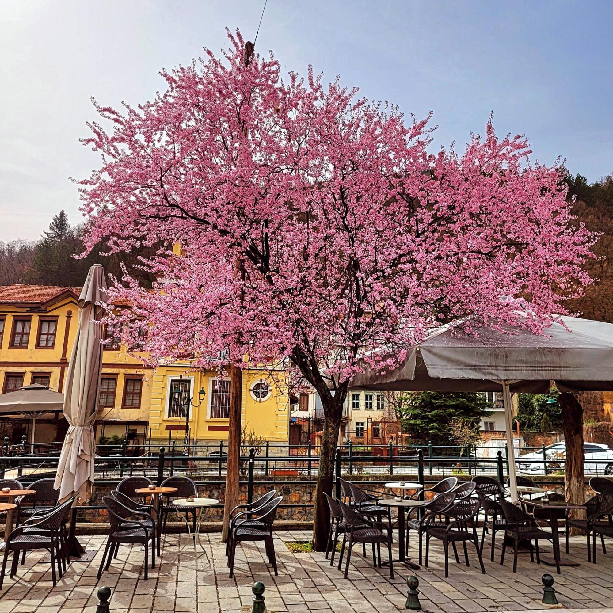 Center River Apartment Florina Exteriér fotografie